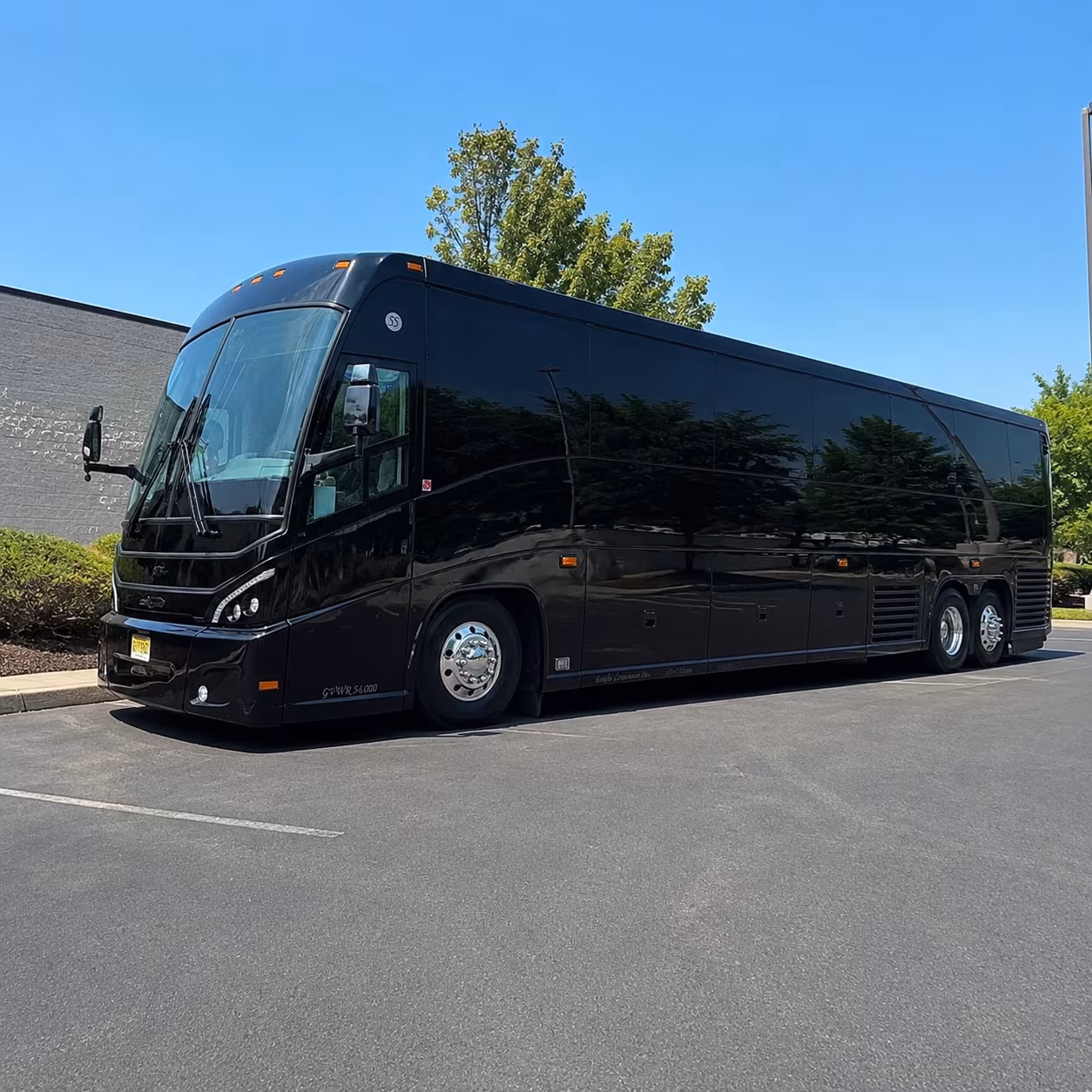 detroit casino runs and entertainment trips from westland